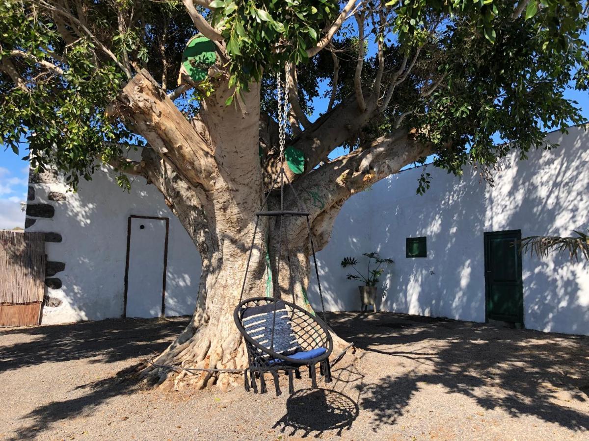 Finca Los Llanitos Гиа-де-Исора Экстерьер фото